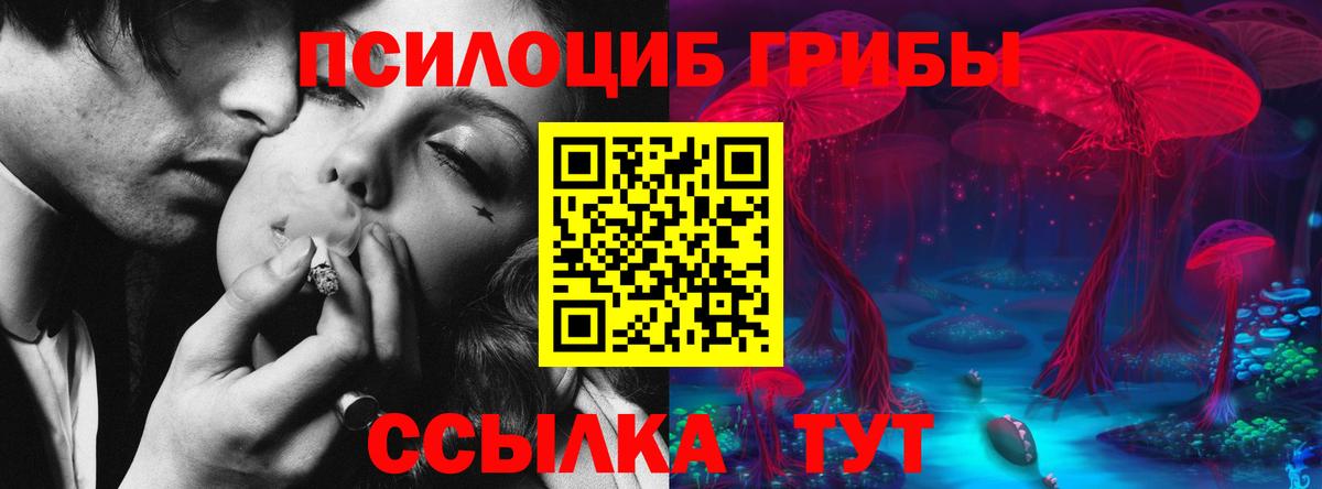 Галлюциногенные грибы Cubensis Кувандык