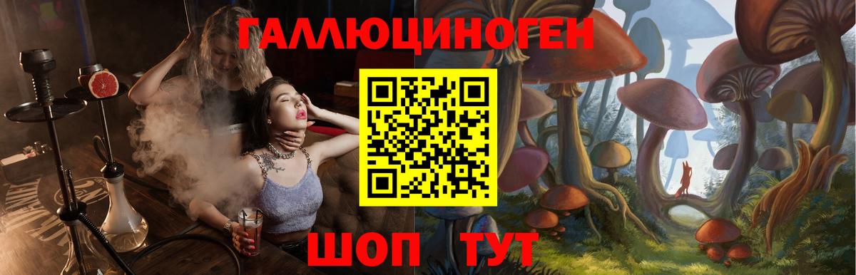 Псилоцибиновые грибы MAGIC MUSHROOMS  Галлюциногенные грибы прущие грибы  Кувандык  Вход с VPN 